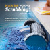 Limpiafondos DOLPHIN Swimming Pool Robotic Cleaner 